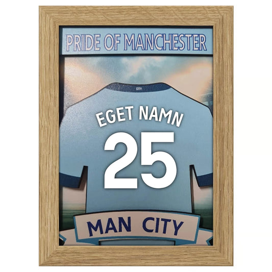 manchester city matchtröjaj