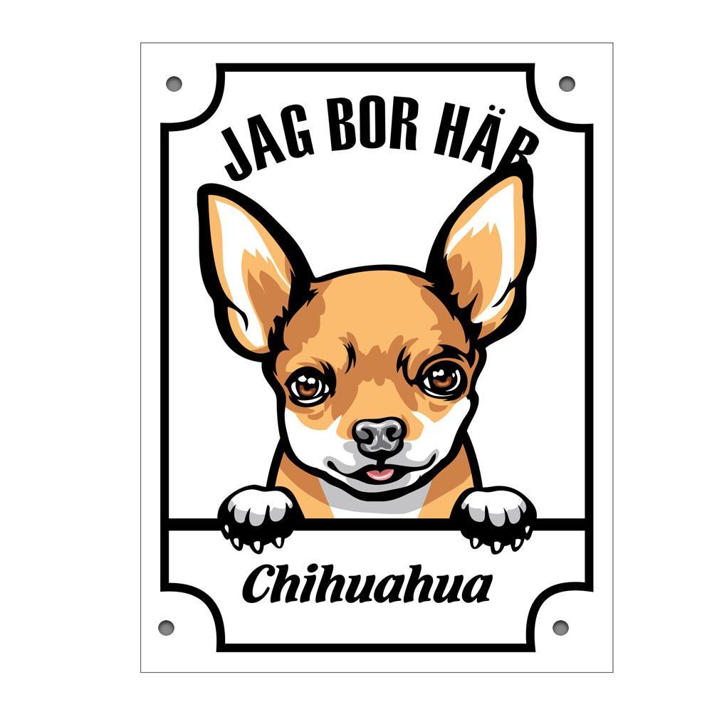 Plåtskylt Chihuahua  Kikande hund skylt