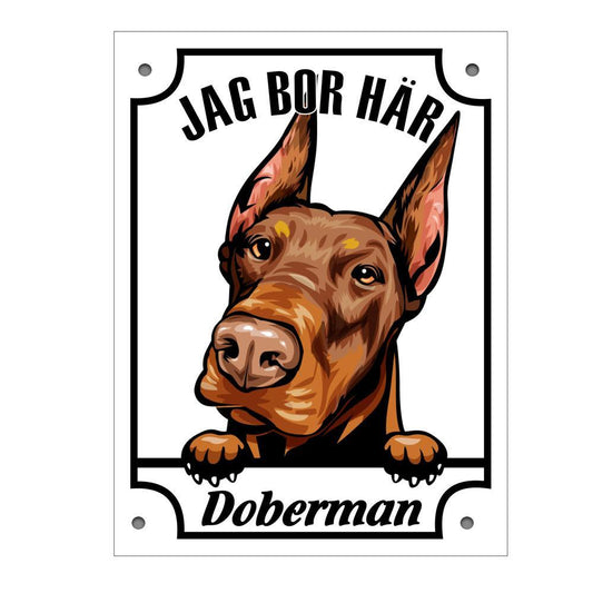 Plåtskylt Doberman Kikande hund skylt - Highstreet.se