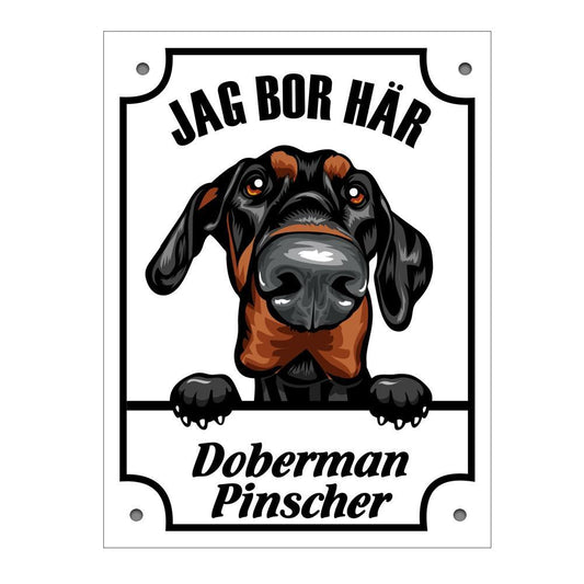 Plåtskylt Doberman pinscher Kikande hund skylt - Highstreet.se