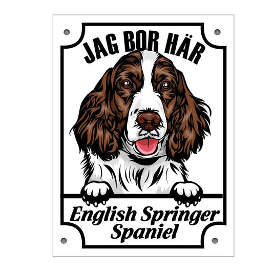 Plåtskylt English Springer Spaniel Kikande hund skylt - Highstreet.se