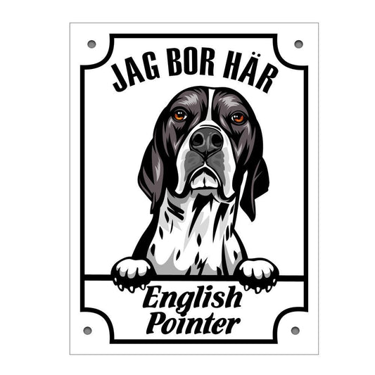 Plåtskylt English pointer Kikande hund skylt - Highstreet.se