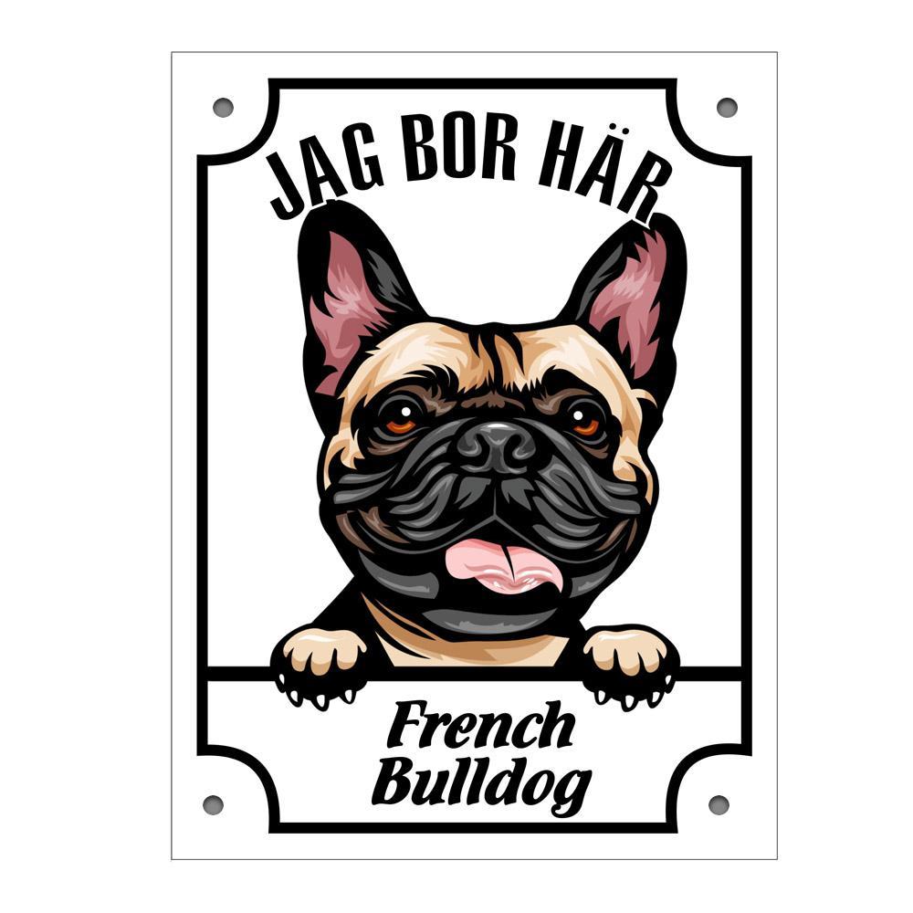 Plåtskylt French Bulldog Kikande hund skylt - Highstreet.se