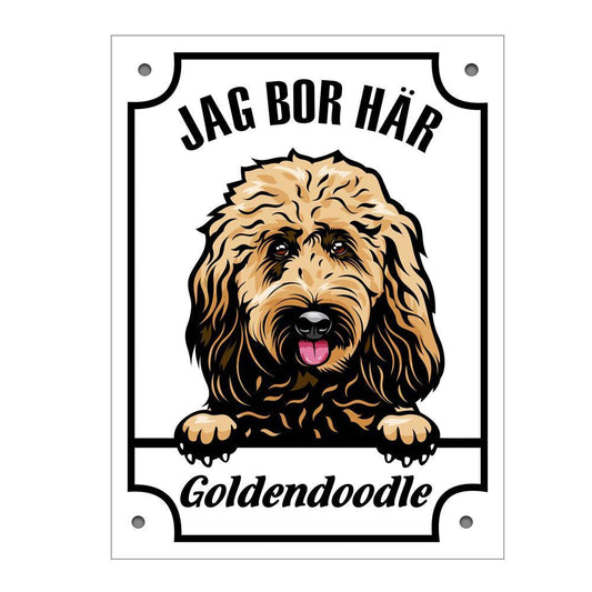 Plåtskylt Goldendoodle Kikande hund skylt - Highstreet.se