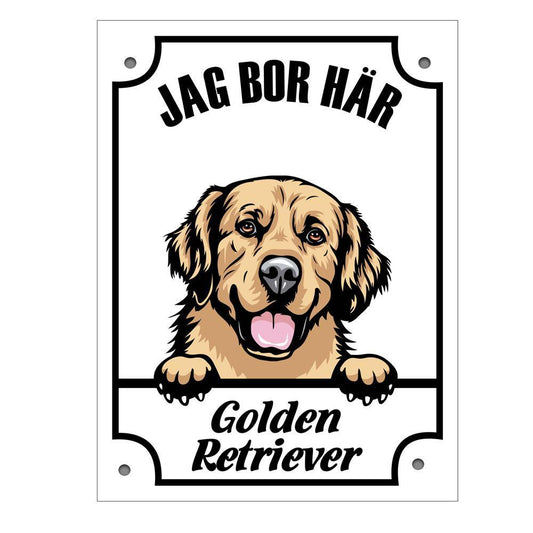 Plåtskylt Golden retriever Kikande hund skylt - Highstreet.se