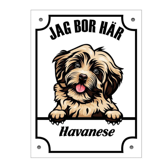Plåtskylt Havanese Kikande hund skylt