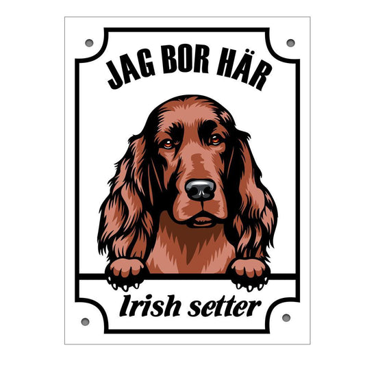 Plåtskylt Irish Setter Kikande hund skylt