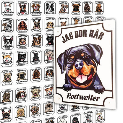 Plåtskylt Jag bo här Airedale Kikande hund skylt - Highstreet.se
