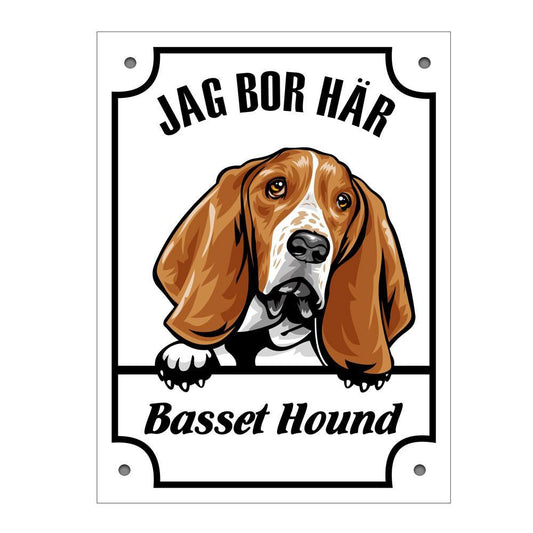 Plåtskylt Jag bor här Basset hound Kikande hund skylt