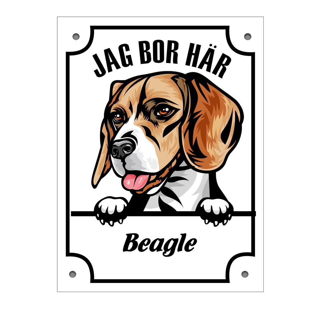 Plåtskylt Jag bo här Beagle Kikande hund skylt - Highstreet.se