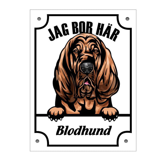 Plåtskylt Jag bo här Blodhund Kikande hund skylt - Highstreet.se