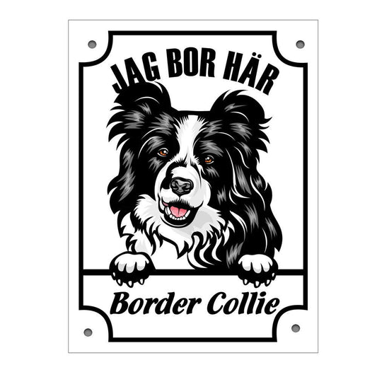 Plåtskylt Jag bo här Border Collie Kikande hund skylt svart - Highstreet.se
