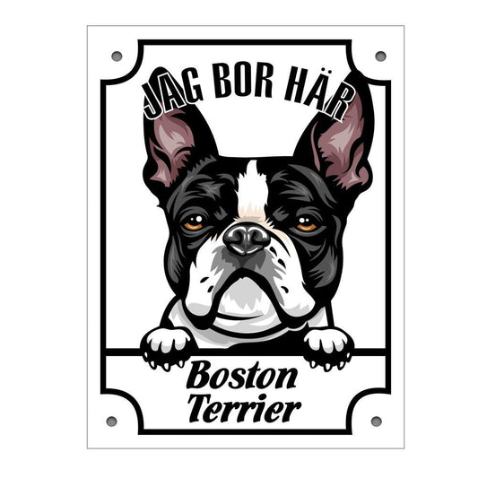 Plåtskylt Jag bo här Boston terrier Kikande hund skylt - Highstreet.se