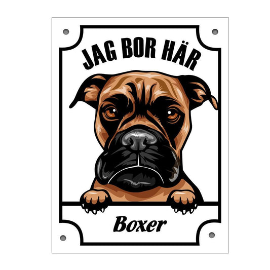 Plåtskylt Jag bor här Boxer Kikande hund skylt