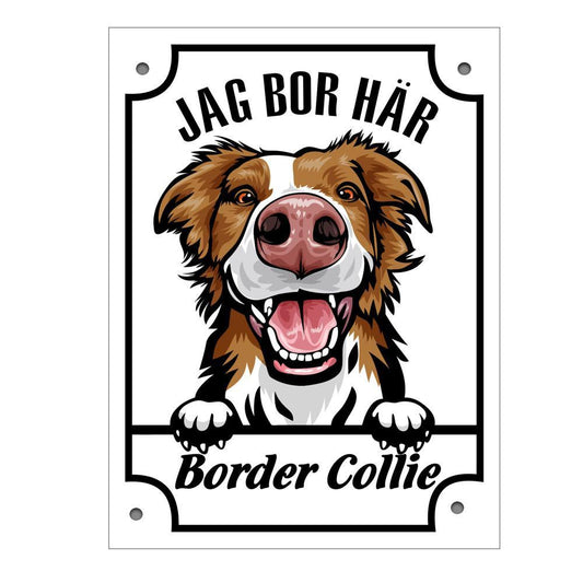 Plåtskylt Jag bor här Brun Border Collie Kikande hund skylt