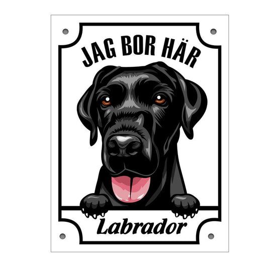 Plåtskylt Jag bo här Labrador Kikande hund skylt svart - Highstreet.se