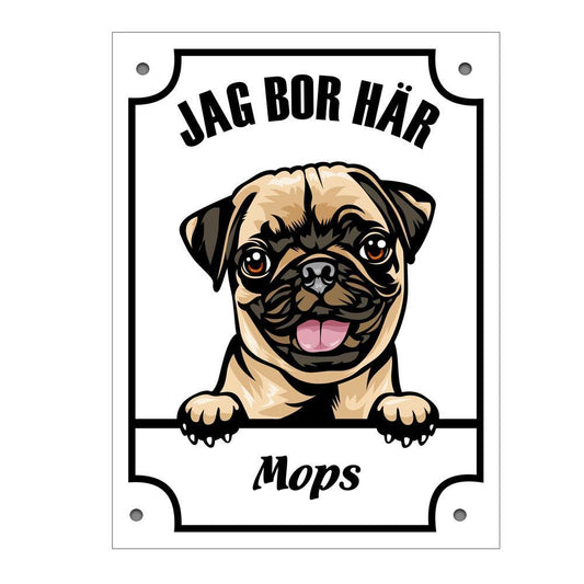 Plåtskylt Mops Kikande hund skylt