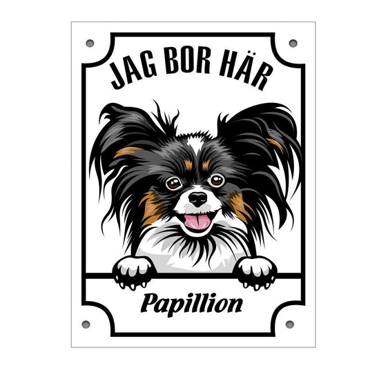 Plåtskylt Papillion  Kikande hund skylt