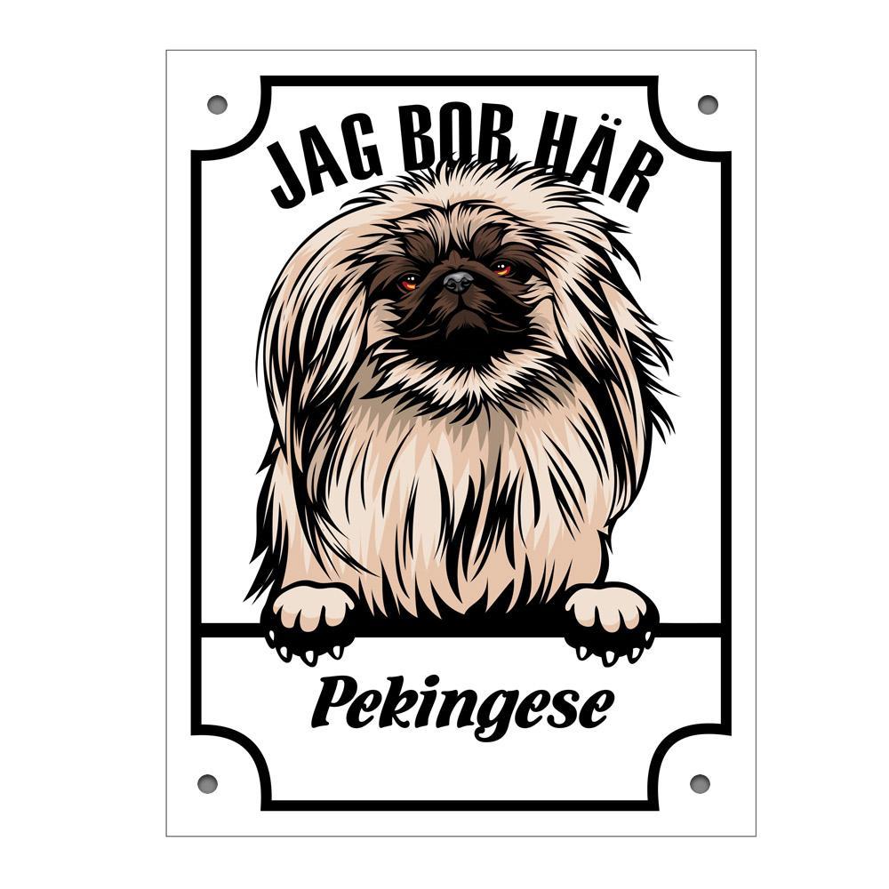 Plåtskylt Pekingese Kikande hund skylt