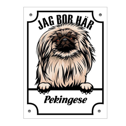 Plåtskylt Pekingese Kikande hund skylt