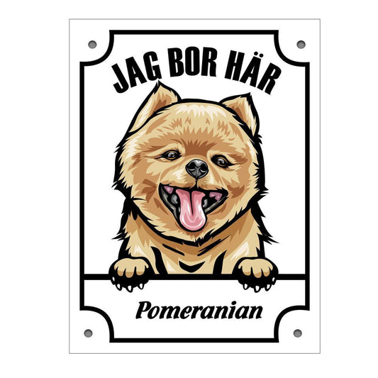Plåtskylt Pomeranian Kikande hund skylt
