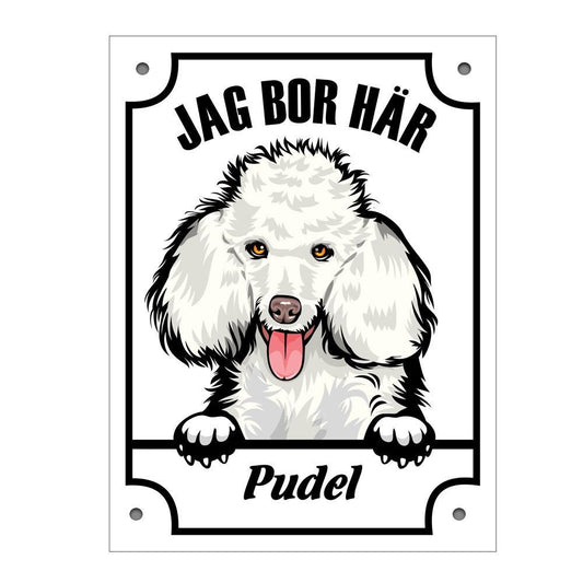 Plåtskylt Pudel Kikande hund skylt