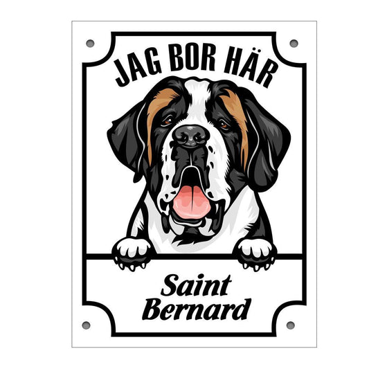 Plåtskylt Saint Bernard Kikande hund skylt