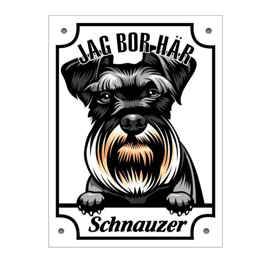 Plåtskylt Schnauzer Kikande hund skylt
