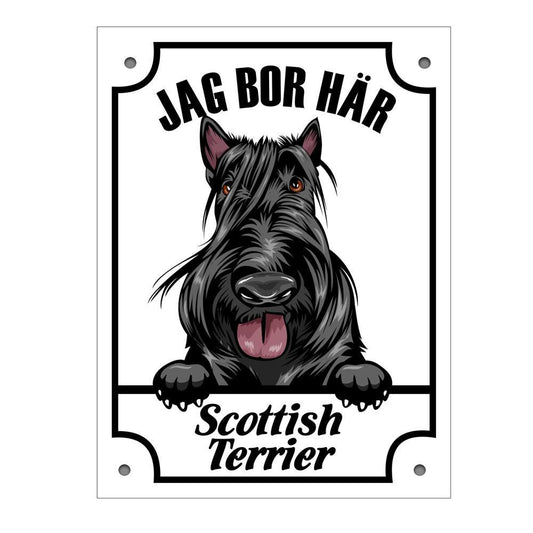 Plåtskylt Scottish Terrier Kikande hund skylt