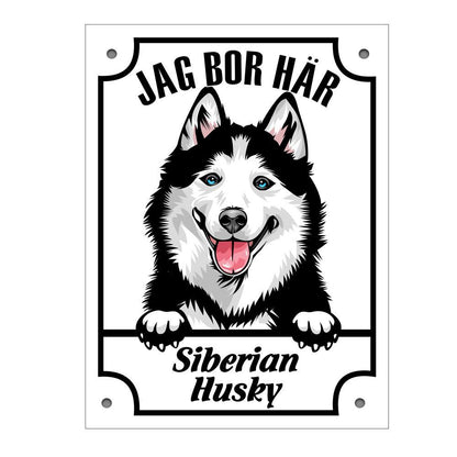 Plåtskylt Siberian Huskey  Kikande hund skylt