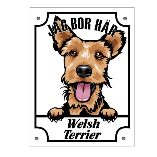 Plåtskylt Welsh Terrier Kikande hund skylt